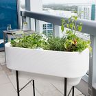 Lightweight Raised Nest Indoor/Outdoor Planters