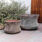 Thira Planters