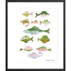Fish School Framed Wall Art by Evelyn Henson
