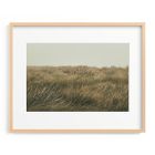 Immerse Framed Wall Art by Minted for West Elm