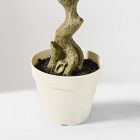 Faux Potted Money Plant