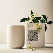 Jasmine &amp; Lily Homescent Collection