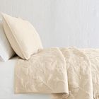 Outline Floral Quilt &amp; Shams