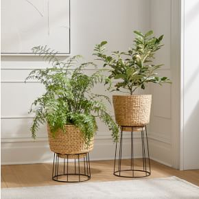 shallow pot planter Matte Black Ceramic Shallow Planter