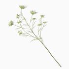 Faux Queen Anne's Lace Green/Ivory Branch