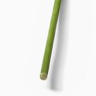 Faux Queen Anne's Lace Green/Ivory Branch