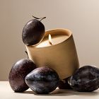 Terra Homescent Collection - Amber Dunes