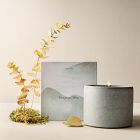 Terra Homescent Collection - Seagrass Mist