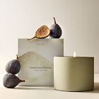 Terra Homescent Collection - Cedarwood Grove