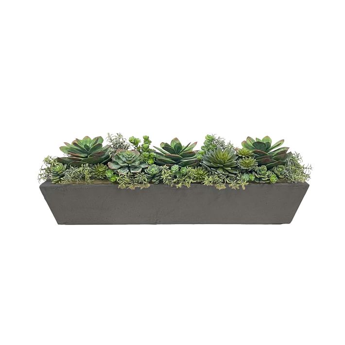 Faux Potted Succulents w/ Planter | West Elm
