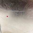 Open Box: Mid-Century Champagne Lacquer Jewelry Boxes, Large 13.5"H