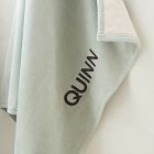 Baby Hooded Animal Towels