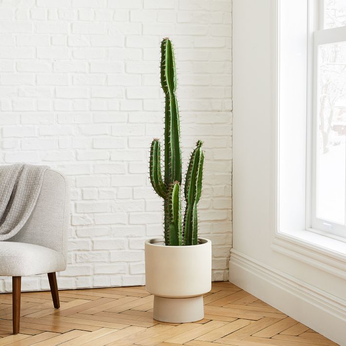 Faux Potted Cactus Plant & Large Bishop Planter Bundle