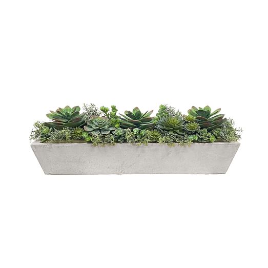 small pots indoor plants Animal Ceramic Planters for Indoor Succulents and Cacti, Small Pots with Drainage 4.33" Snail