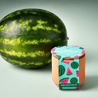 Modern Sprout Tiny Terracotta Grow Kit - Fruit