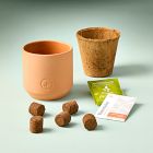 Modern Sprout Tiny Terracotta Grow Kit - Fruit