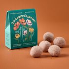 Modern Sprout Bespoke Blooms Seed Balls (Set of 5)