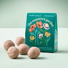 Modern Sprout Bespoke Blooms Seed Balls (Set of 5)