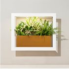 Modern Sprout Smart Matte Growframe