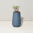 Modern Sprout Tapered Tumbler Grow Pot