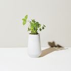 Modern Sprout Tapered Tumbler Grow Pot