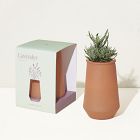 Modern Sprout Tapered Tumbler Grow Pot
