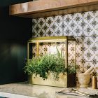 Modern Sprout Smart Growhouse