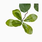 Faux Potted Aralia Tree