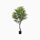 Faux Potted Aralia Tree