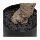 Faux Potted Aralia Tree