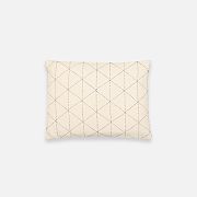 Anchal Project Small Graph Throw Pillow