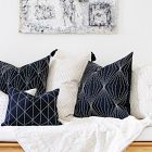 Anchal Project Prism Pillow