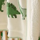 Dino Baby Blanket
