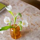 Canyon Coffee Table (54")