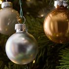 Small Glass Ball Ornaments (Set of 25) - Champagne