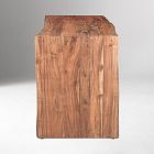 Raina Live Edge Desk (60")