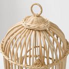 Joseph Altuzarra Bird Cage
