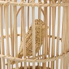 Joseph Altuzarra Bird Cage