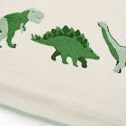 Dino Baby Blanket