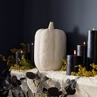 Shape Studies Ceramic Pumpkins