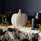 Shape Studies Ceramic Pumpkins