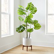 Faux Monstera Plant & Mid-Century Turned Wood Leg Planter Bundle