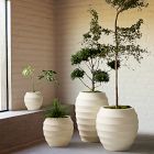 Eli Ficonstone Indoor/Outdoor Planters
