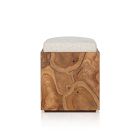 Leontine Outdoor Teak Stool (17")