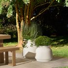 Remmi Ficonstone Indoor/Outdoor Planters