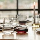 Zwiesel Glas Level Crystal Wine Tumblers (Set of 2)