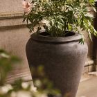 Colin King Washed Ficonstone Planters