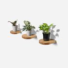 Formr Rainbow Shelf