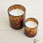 Tortoise Glass Candles - Tonka &amp; Sandalwood