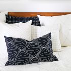 Anchal Project Euro Sham